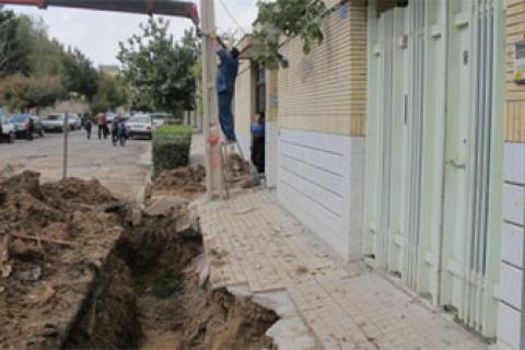 گزارش اسهال ویروسی گاو